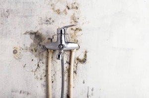 Bathroom Mould Bathroom Mould